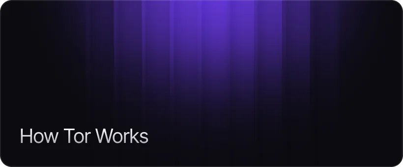 How Tor Works