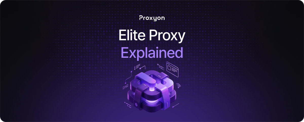 Elite Proxy Explained  What It Means