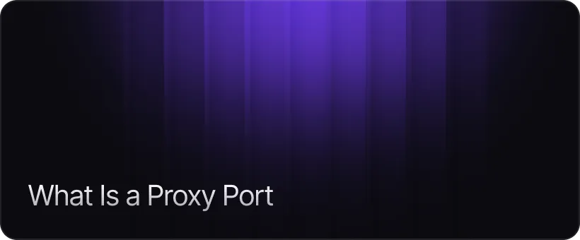 What Is a Proxy Port