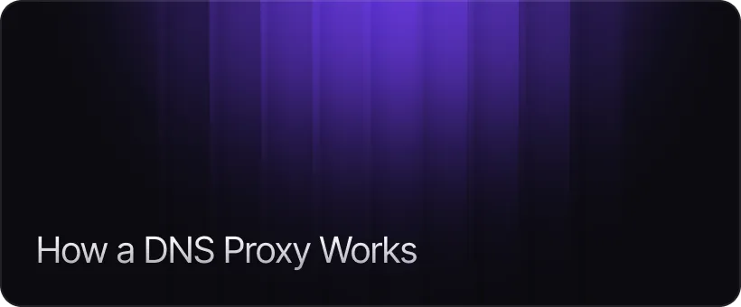 How a DNS Proxy Works