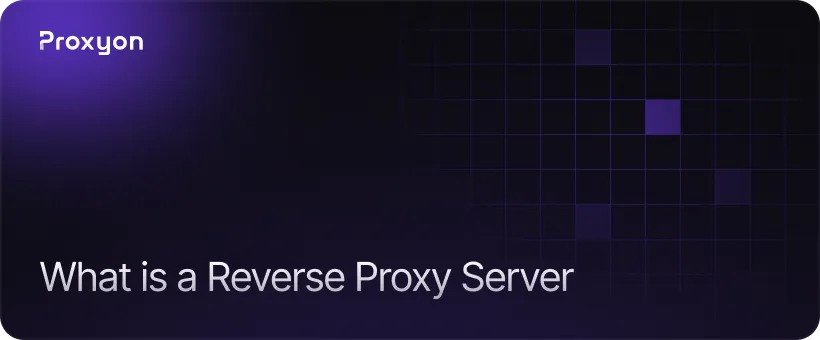 What is a Reverse Proxy Server