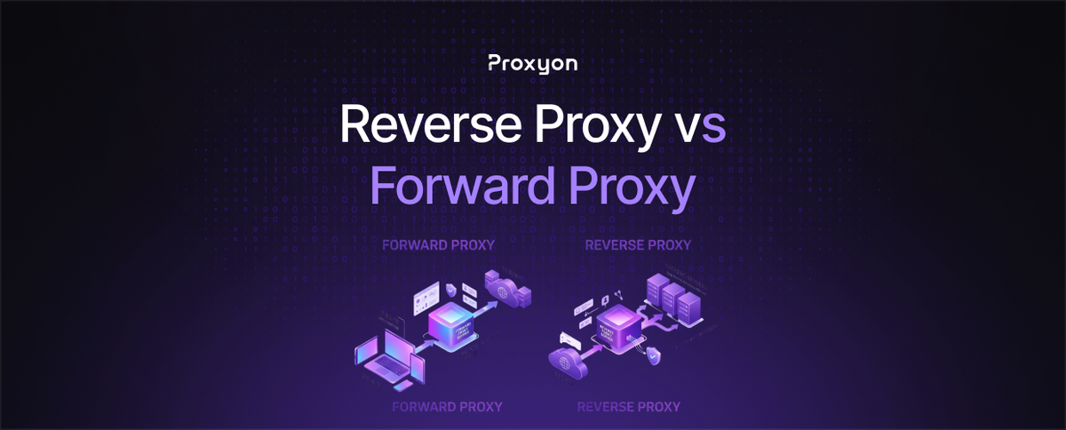 Reverse Proxy vs Forward Proxy  What's the Difference