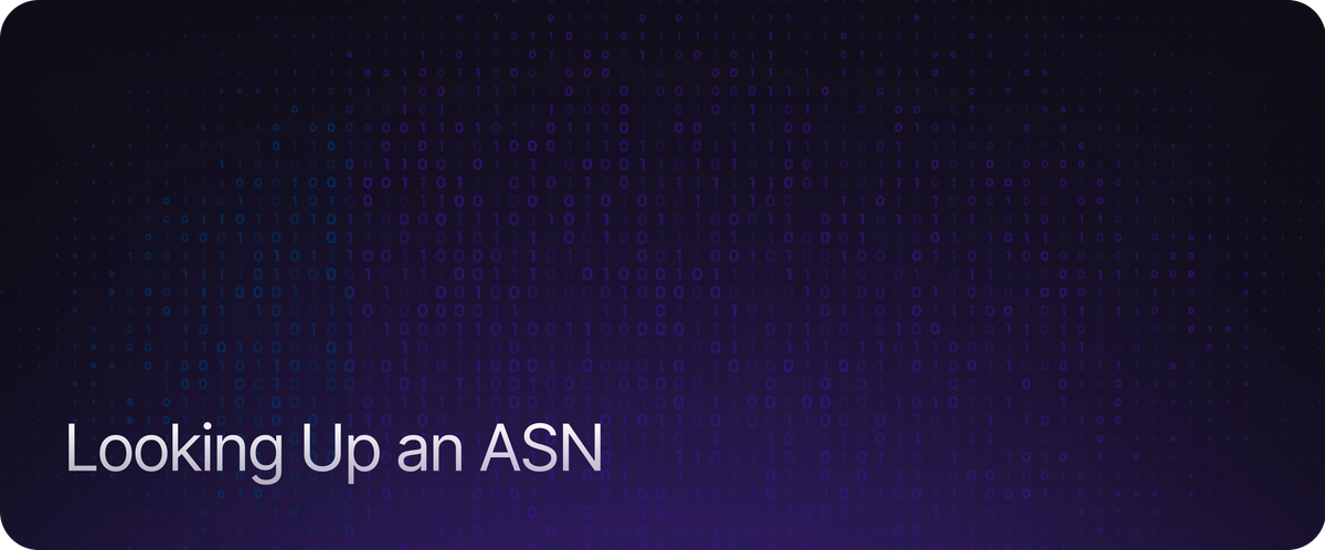 Looking Up an ASN
