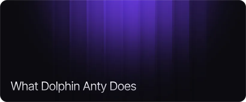 What Dolphin Anty Does