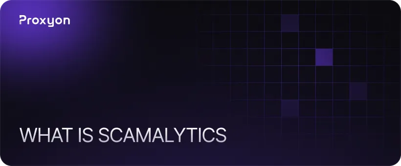 What Is Scamalytics